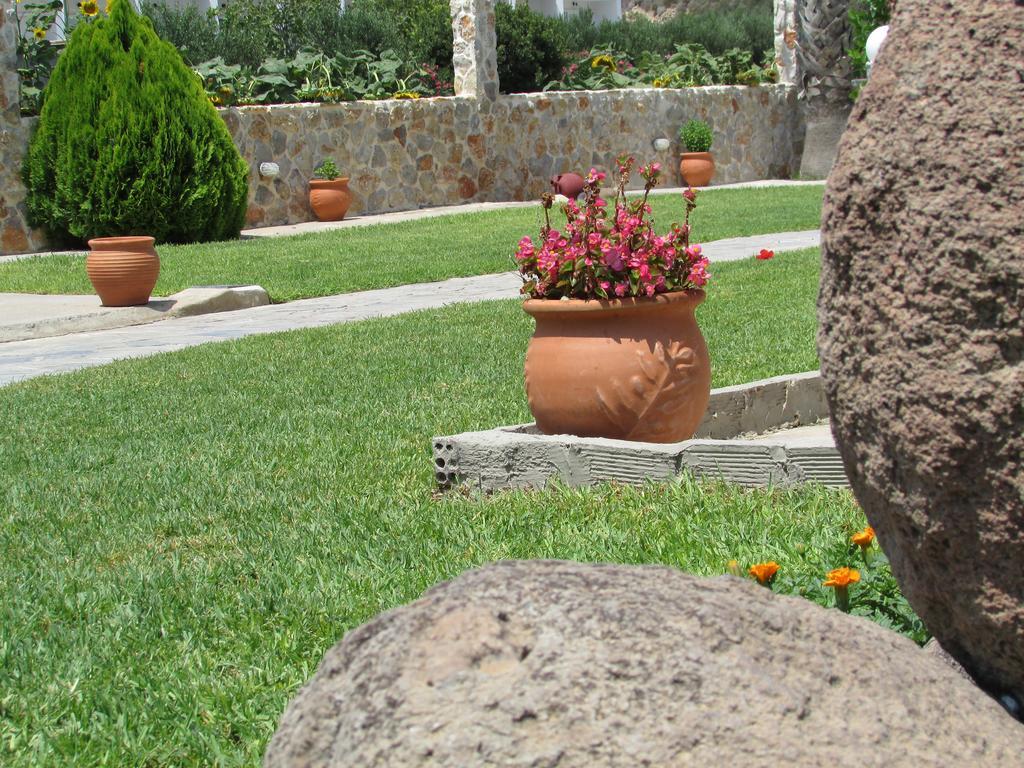 Sevi Apartments Kefalos  Bagian luar foto